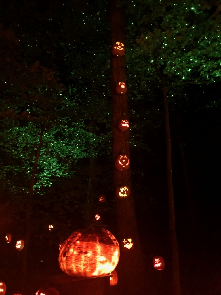 Jack-O-Lantern Spectacular