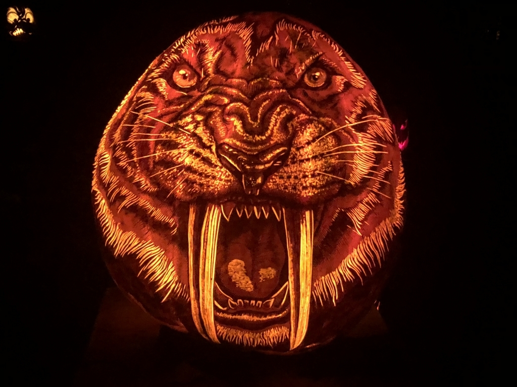 Sabertooth Tiger pumpkin