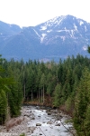 View of Snoqualmie River from the Cabin